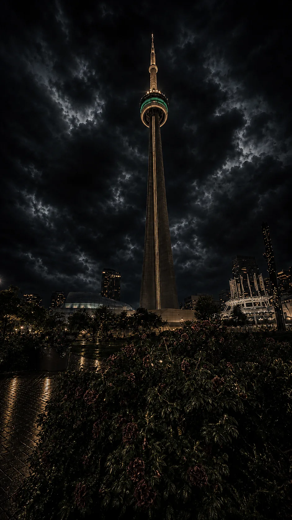 Watch — What's Legit 6ix Toronto
